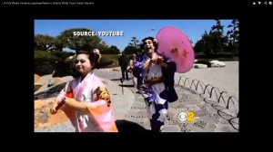 Geisha Video, LA Public Works