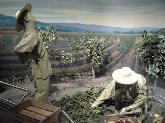 A diorama at the Smithsonian American History Museum depicts Chinese workers in a California field