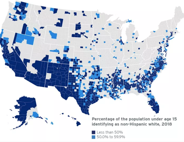 Non-Hispanic Whites under 15