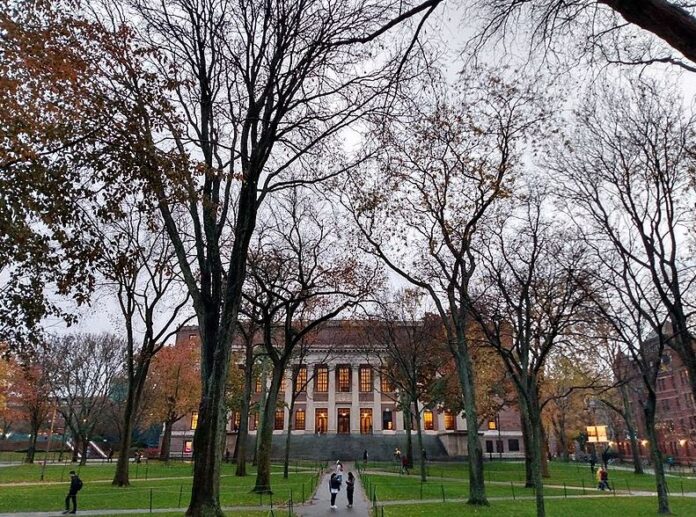 Shot of Harvard campus building with trees in the foreground