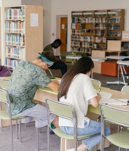 Students study in the library