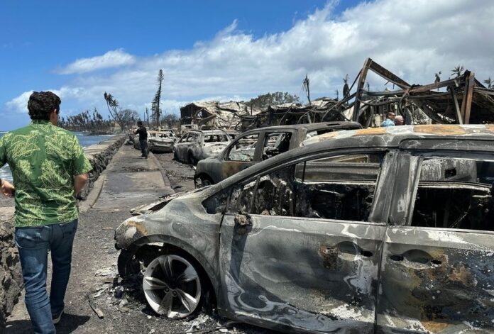 Sen Brian Schwatz (d-HI) looks burned cars and charred ruins in Lahaina