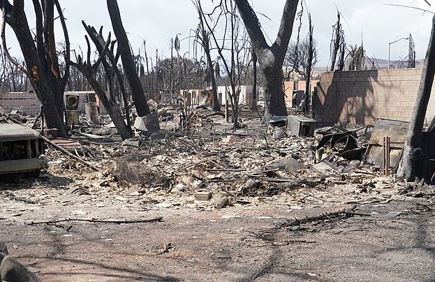 Charred ruins from the Maui fire