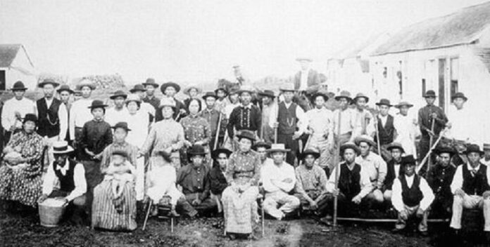 A group shot of early Japanese immigrants to Hawaii