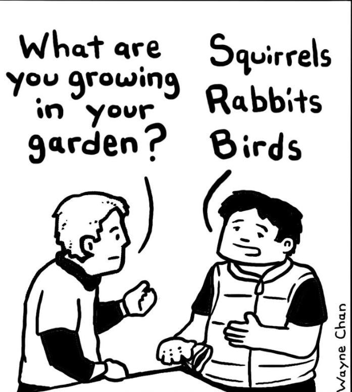 One man says to the other: What are you growing in your garden? Man number 2: Squirrels, rabbits, birds