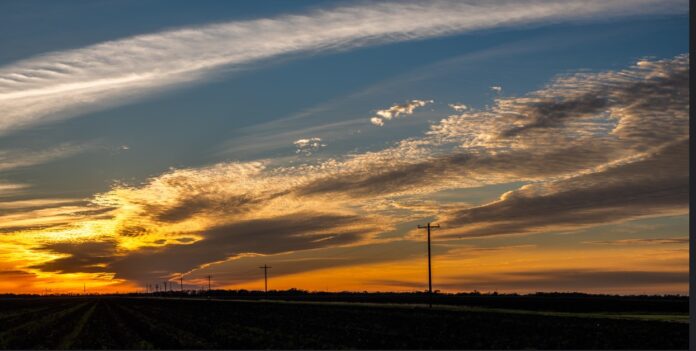 Sunset over a row crop field along the Texas Coastal Plain
