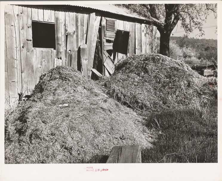 Barn in Placer County