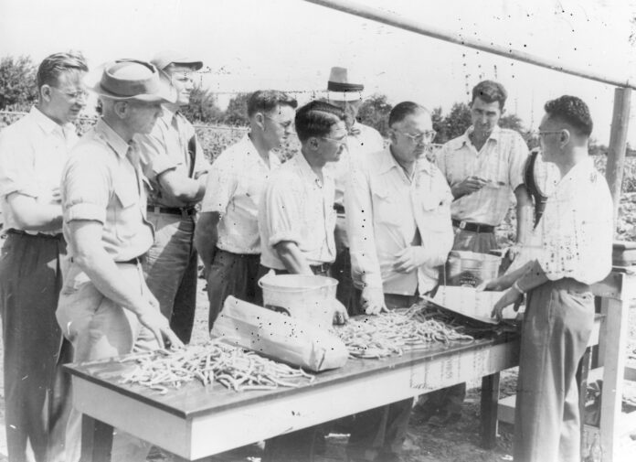 An historical photo of Japanese Americans at Seabrook Farm in New Jersey