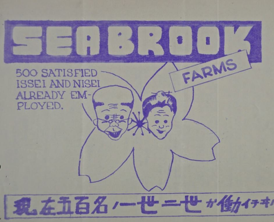 Seabrook Farm used ads like this to recruit Japanese American workers to Seabrook Farm
