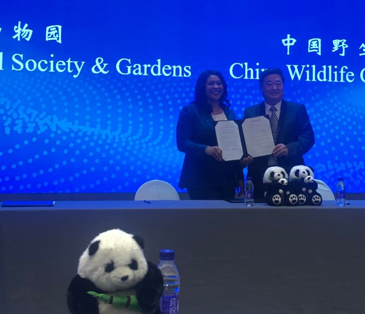 Mayor London Breed of San Francisco with Wu Minglu of the China Wildlife Conservation Association (CWCA). Photo by Hanson Wong