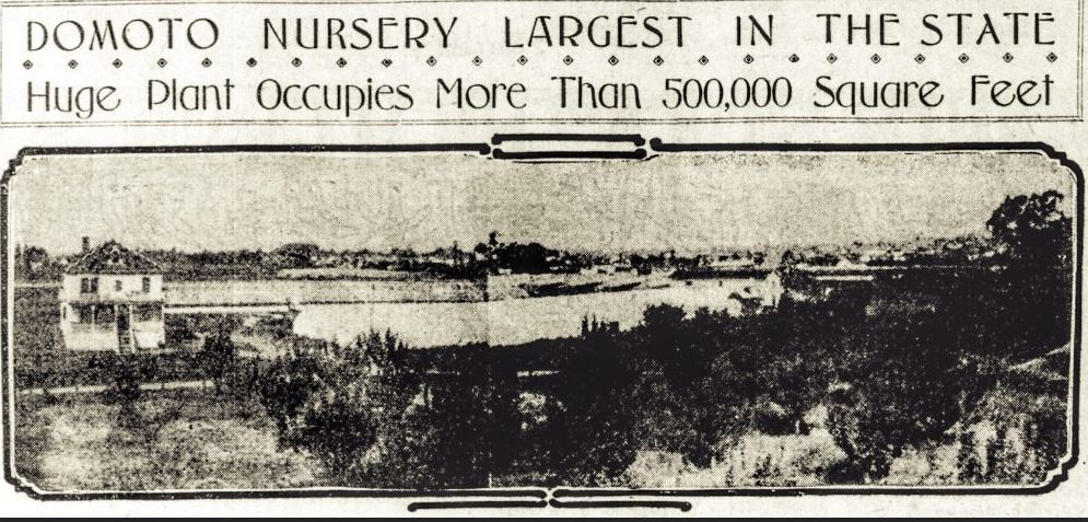 Article from the San Francisco Call Bulletin, 1912
Courtesy: 50Objects.org website  