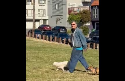 Man walking a dog shouts Islamophobic slurs during EID prayer event