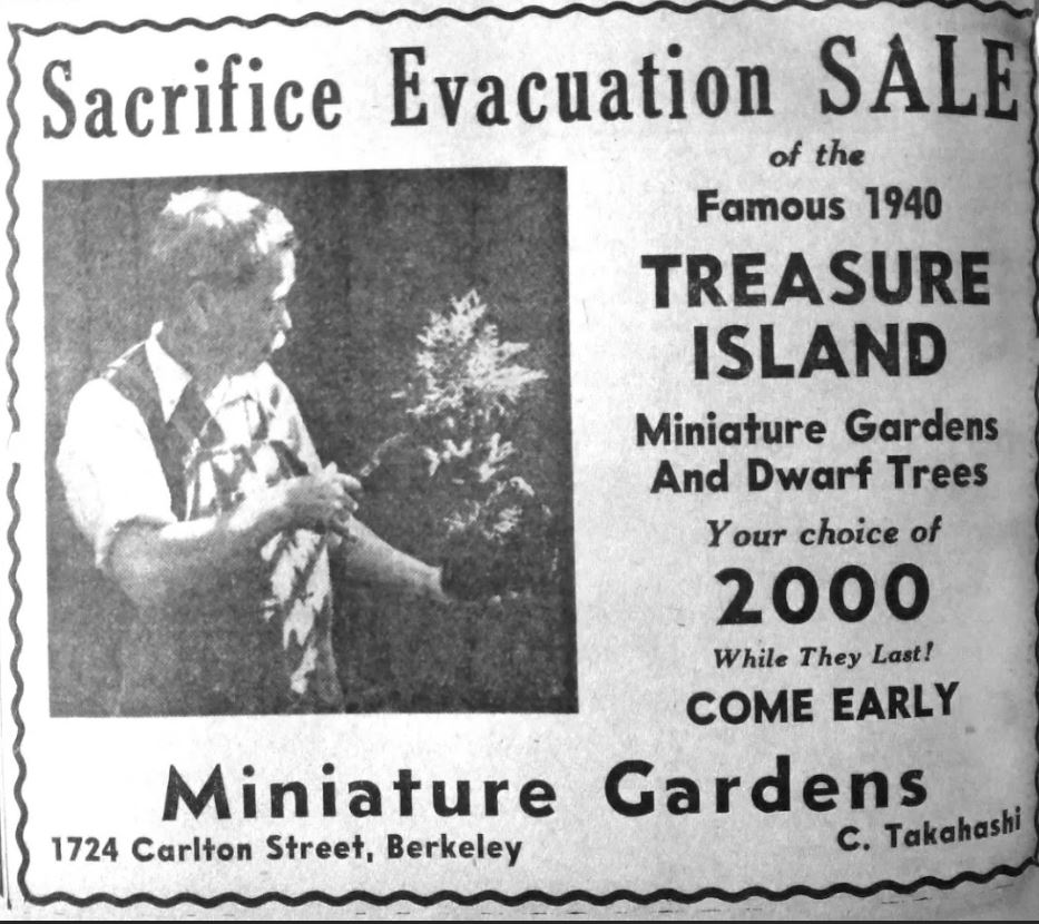 This ad ran in the March 27 1942 Berkeley Gazette for a sale by a Japanese American garden
nursery.
Courtesy: Berkeley Historical Society via East Bay Times 3/28/17