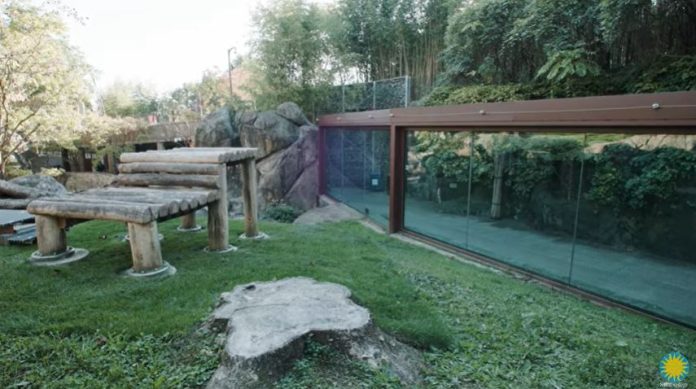 Panda habitat at the National Zoo in Washington, DC.