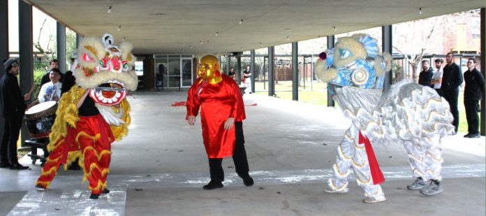 Two lions help celebrate Tet